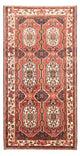 Bakhtiari Rug 166x300cm - Persian Rugs