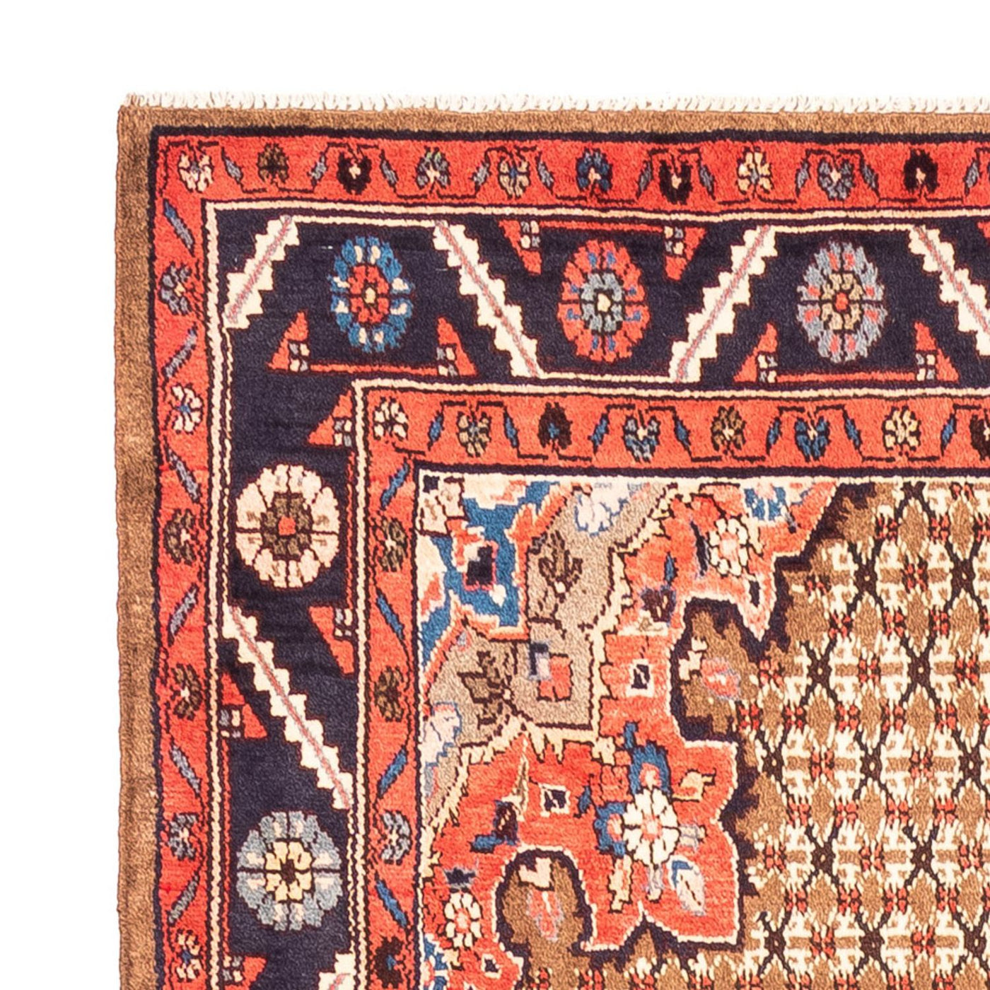 Kolyai Rug 300x157cm - Persian Rugs