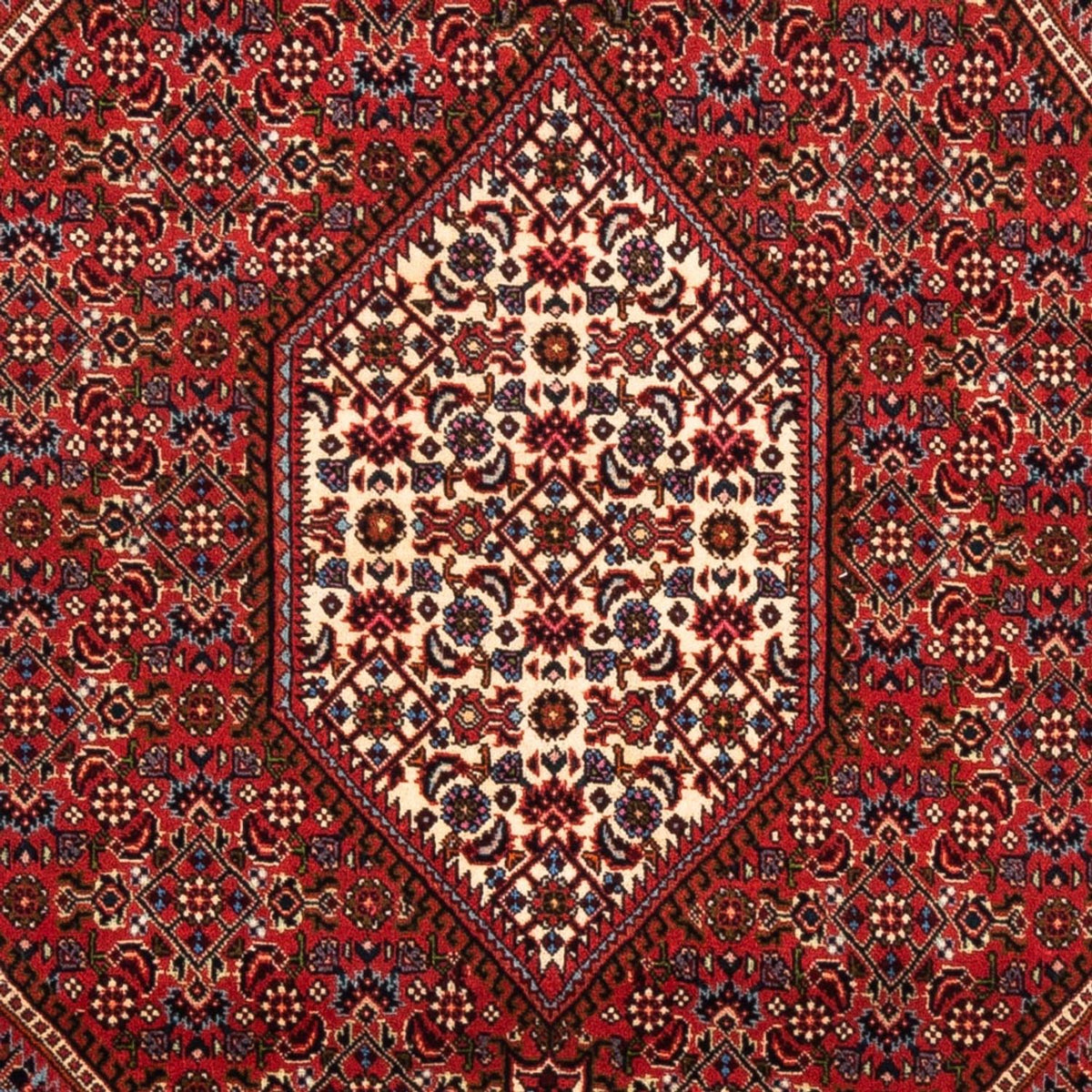 Perser Rug - Bidjar - 175 x 114 cm - red