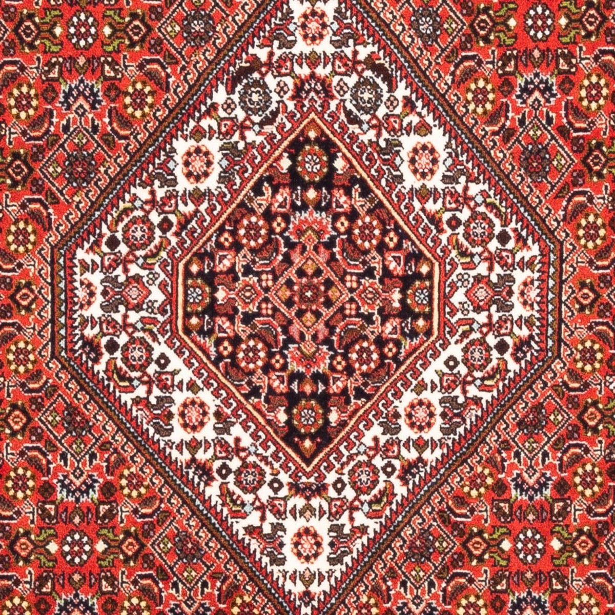Perser Rug - Bidjar - 178 x 108 cm - red