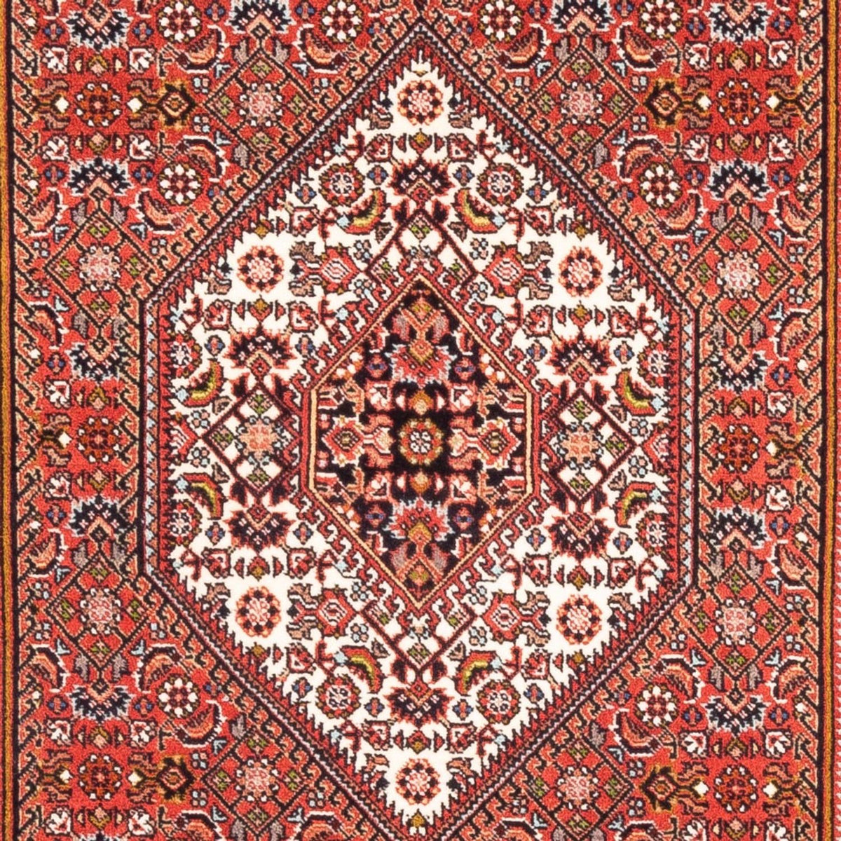 Perser Rug - Bidjar - 185 x 109 cm - red