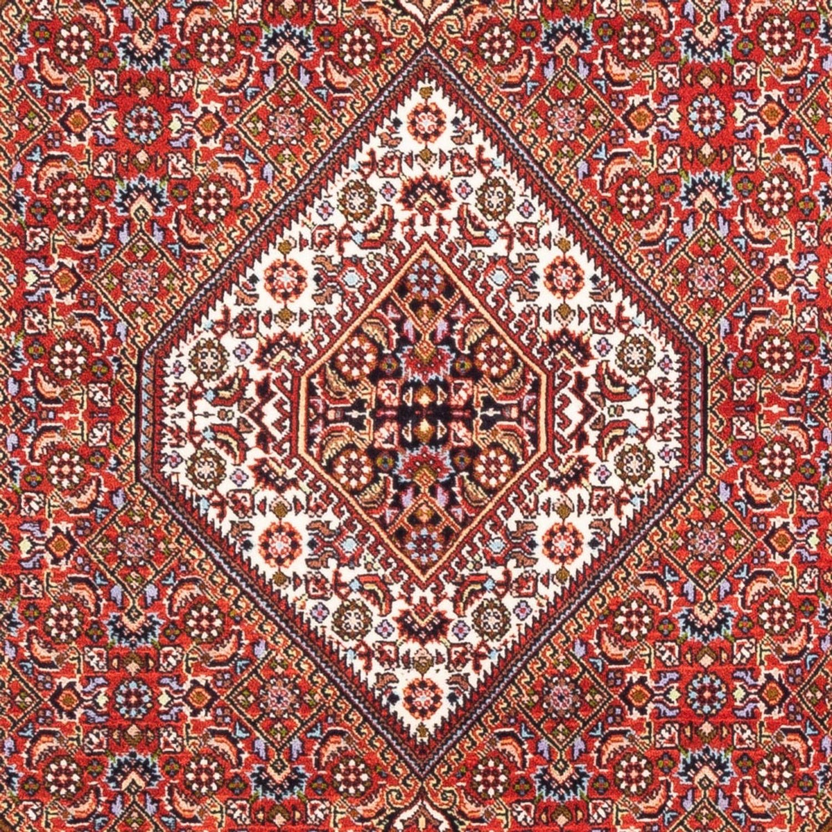 Perser Rug - Bidjar - 176 x 108 cm - red