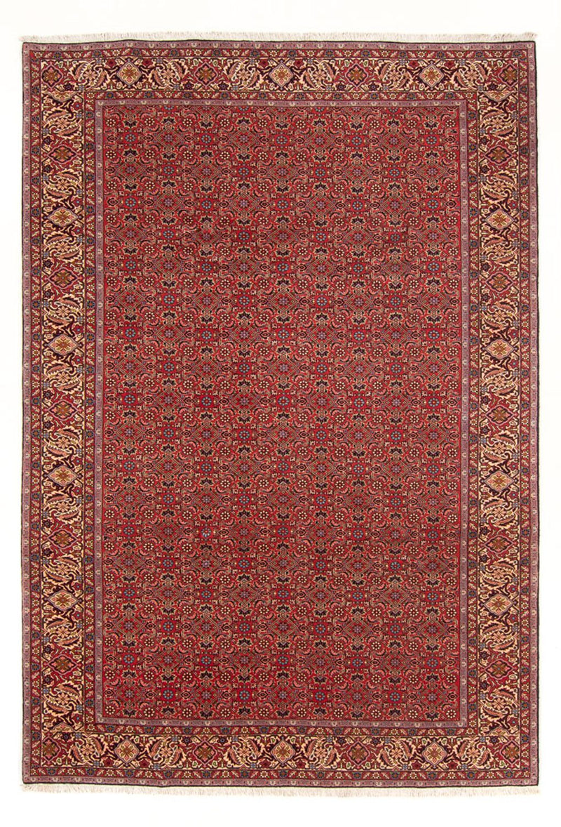 Perser Rug - Bidjar - 296 x 197 cm - red