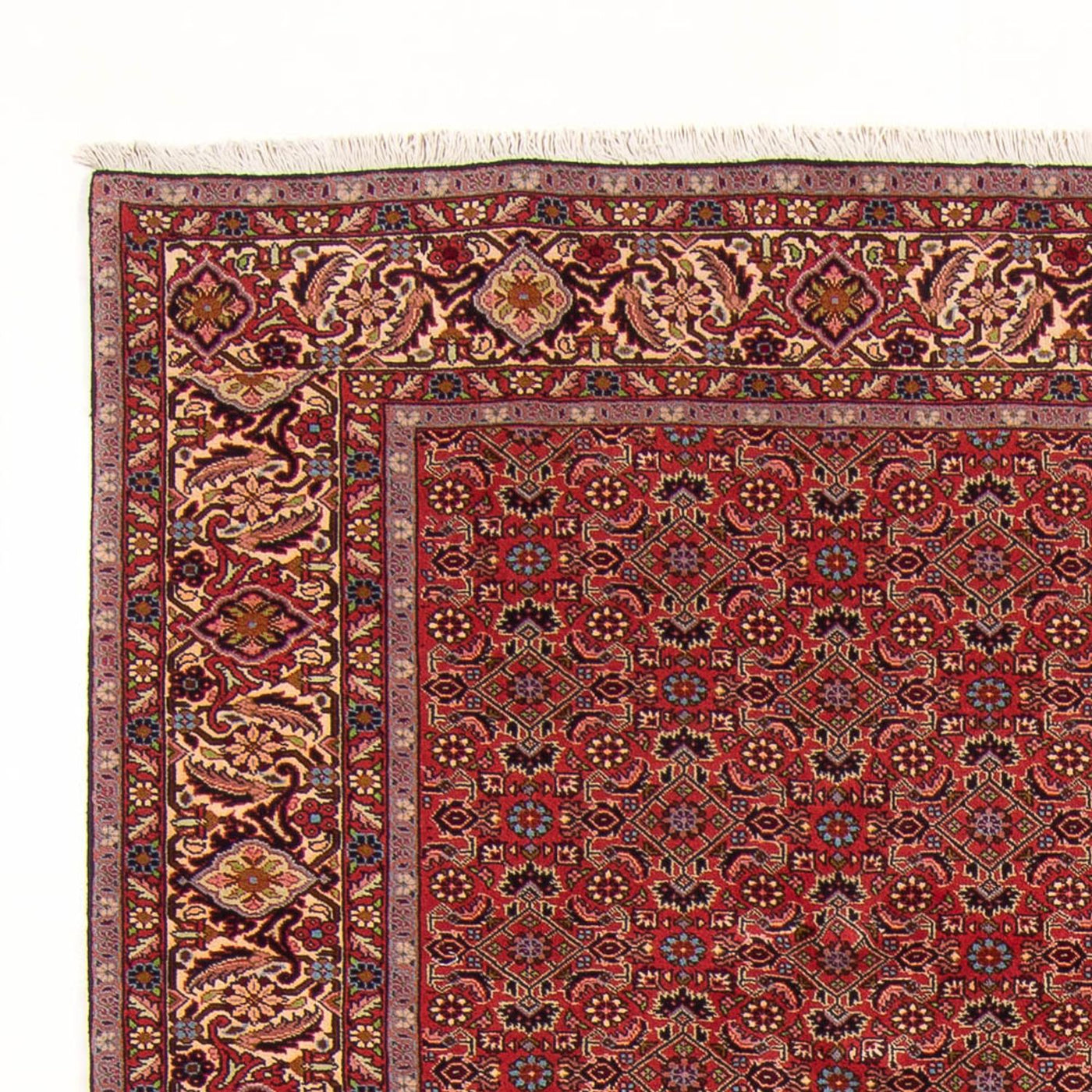 Bidjar - Bukan Rug 296x197cm - Persian Rugs