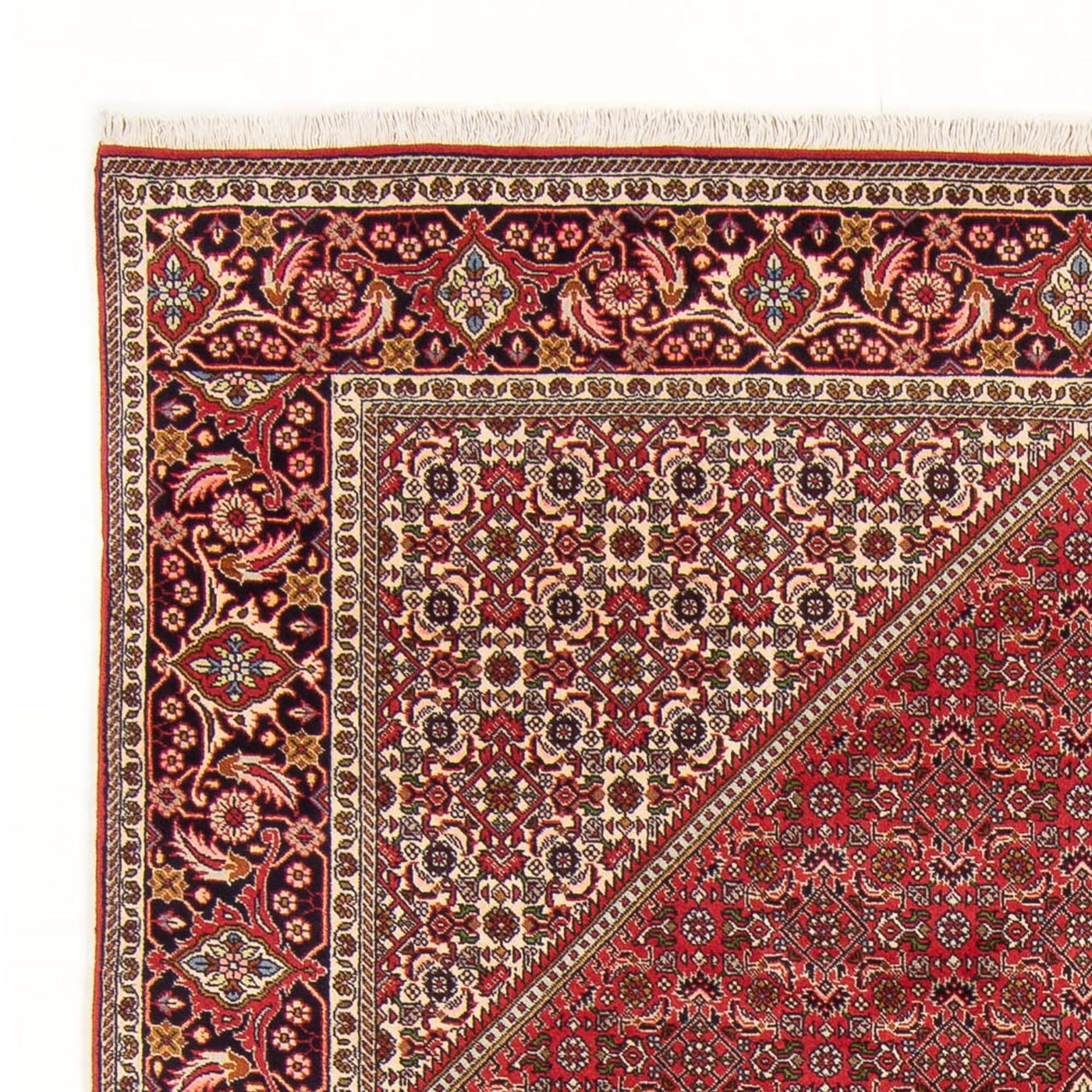 Bidjar - Bukan Rug 290x192cm - Persian Rugs