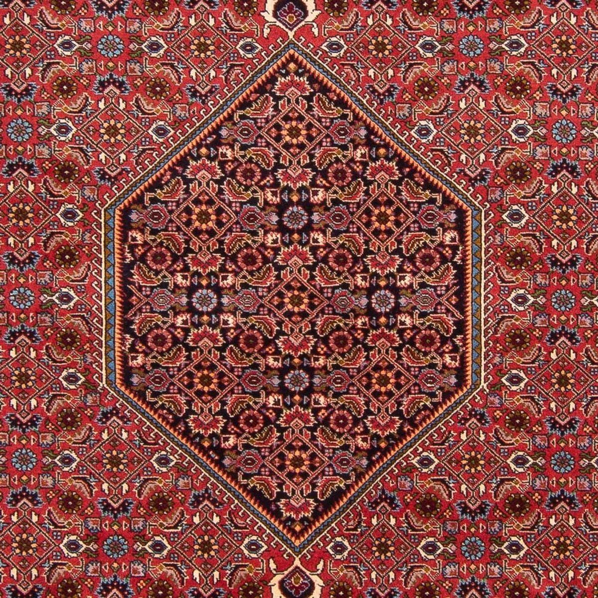 Perser Rug - Bidjar - 301 x 200 cm - red