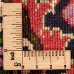 Perser Rug - Bidjar - 300 x 200 cm - red