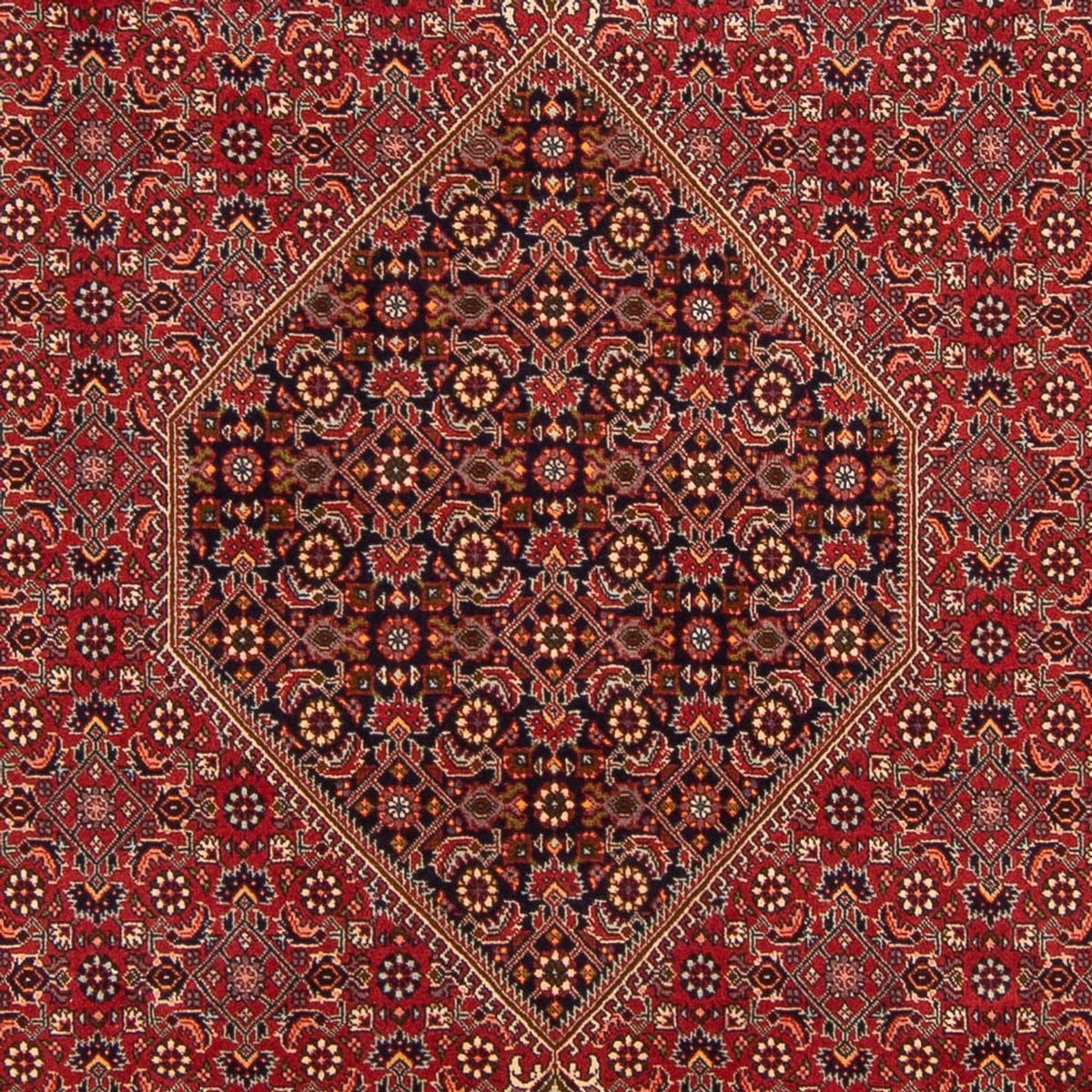 Perser Rug - Bidjar - 300 x 201 cm - red