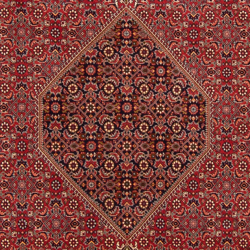 Perser Rug - Bidjar - 300 x 201 cm - red