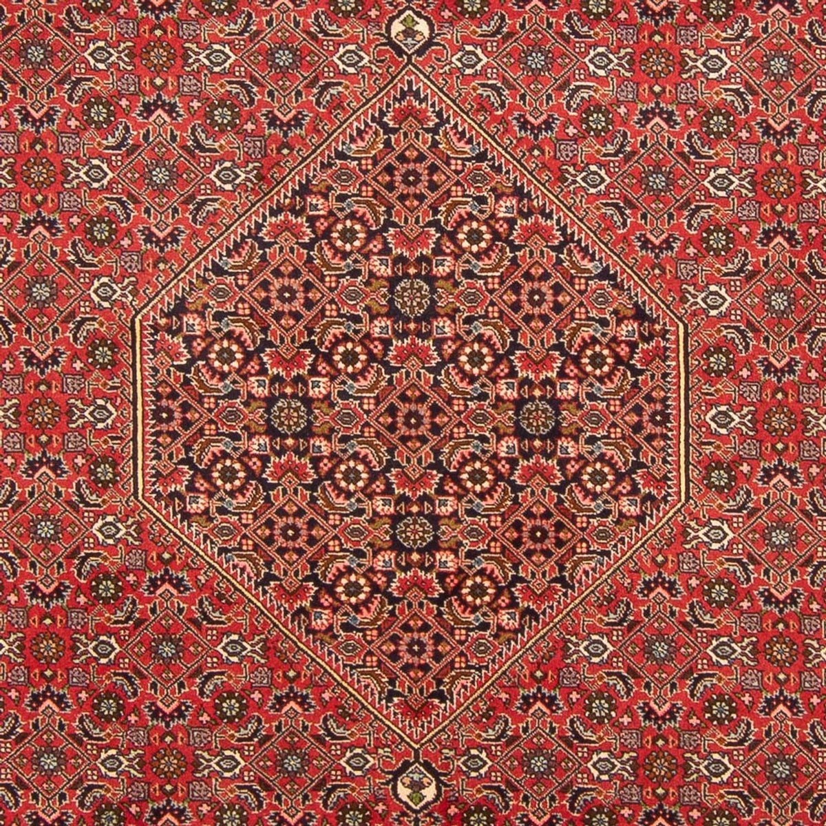 Perser Rug - Bidjar - 298 x 197 cm - red