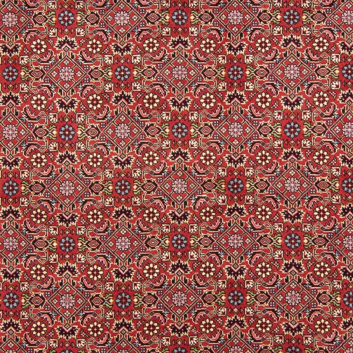 Perser Rug - Bidjar - 290 x 198 cm - red