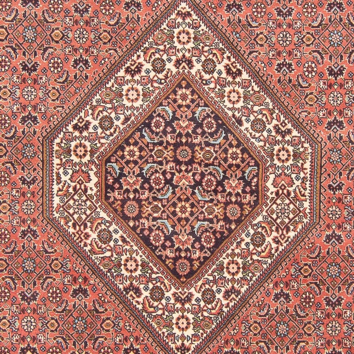 Perser Rug - Bidjar - 290 x 200 cm - red