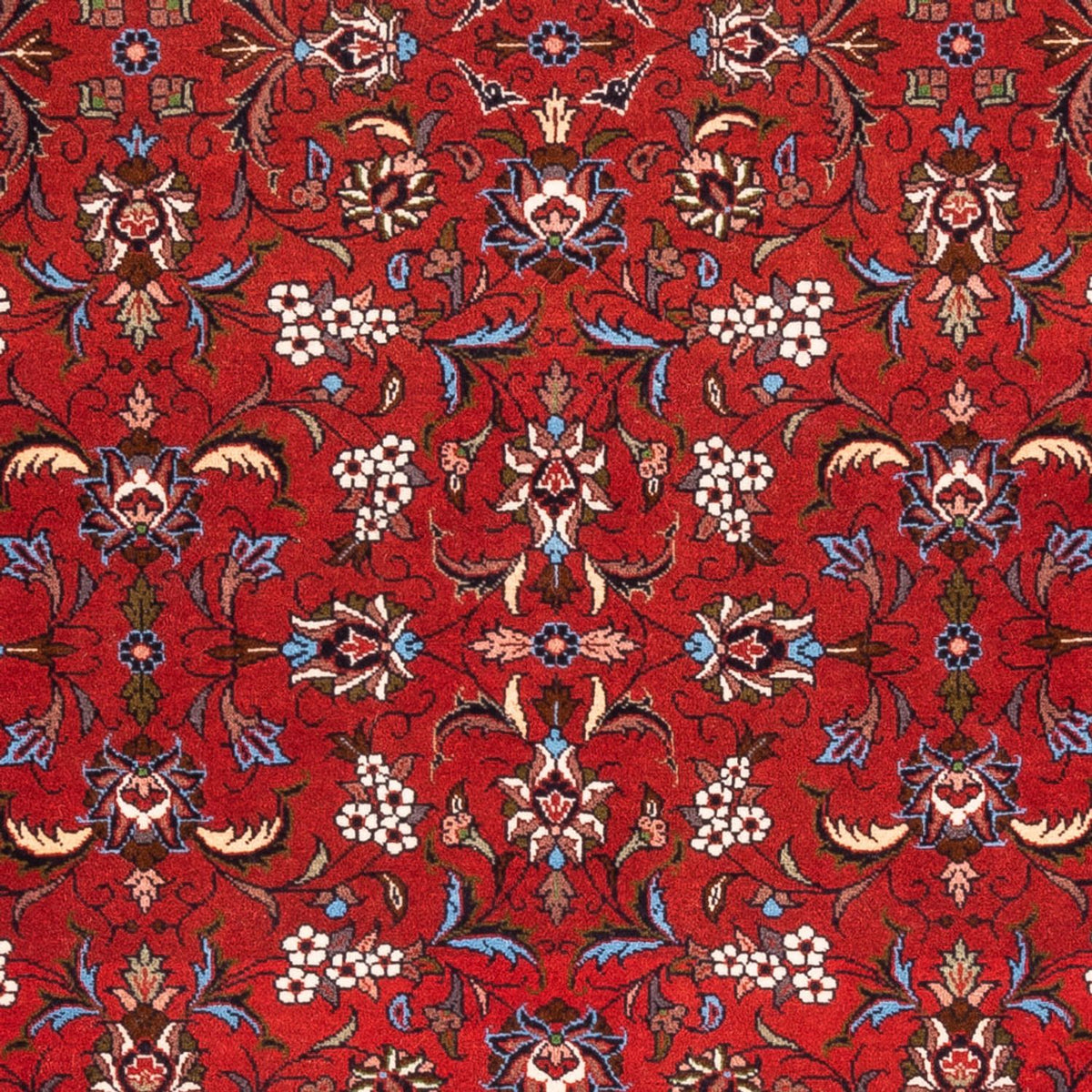 Perser Rug - Bidjar - 182 x 110 cm - red