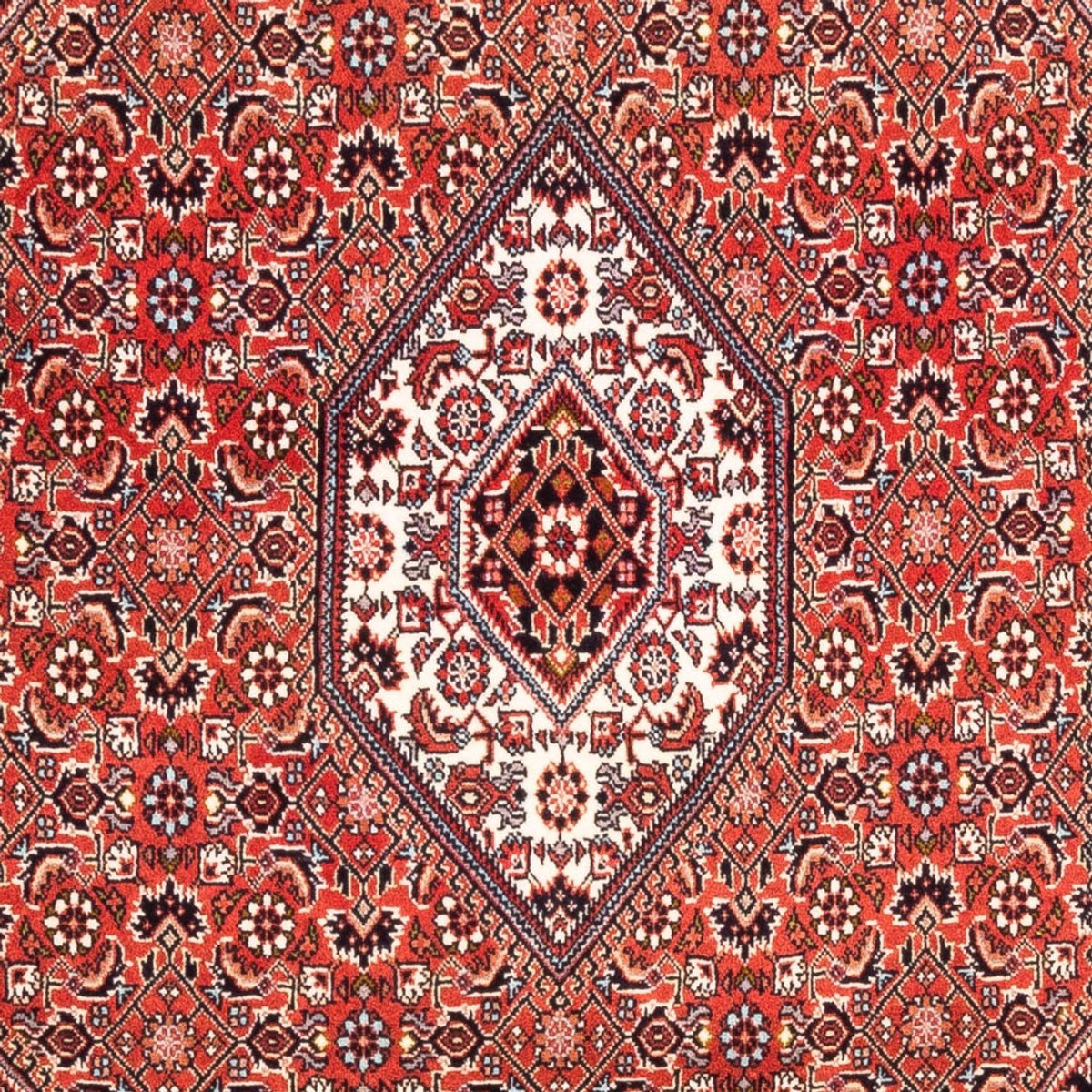 Perser Rug - Bidjar - 188 x 112 cm - red
