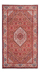 Bidjar - Bukan Rug 183x110cm - Persian Rugs