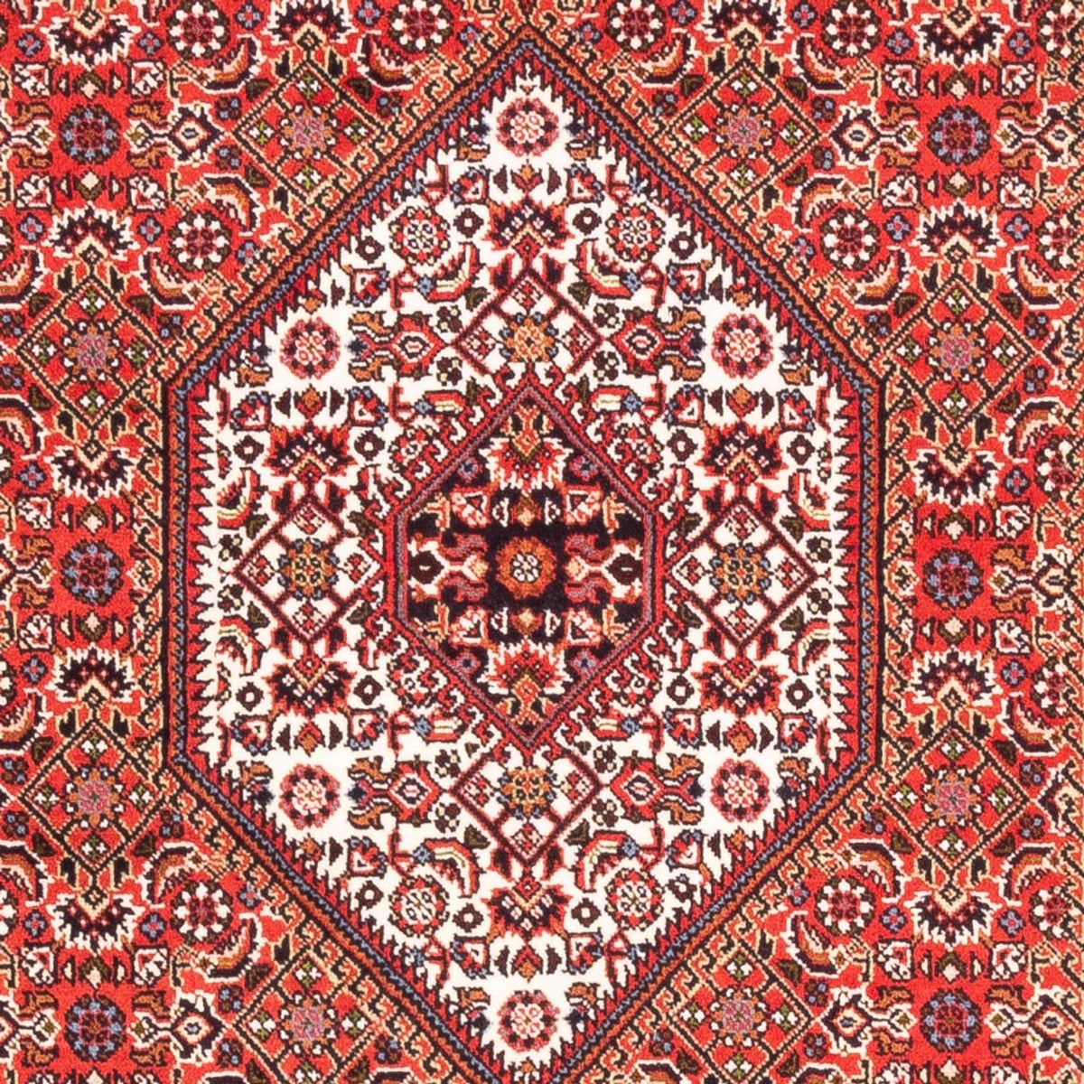 Perser Rug - Bidjar - 183 x 110 cm - red