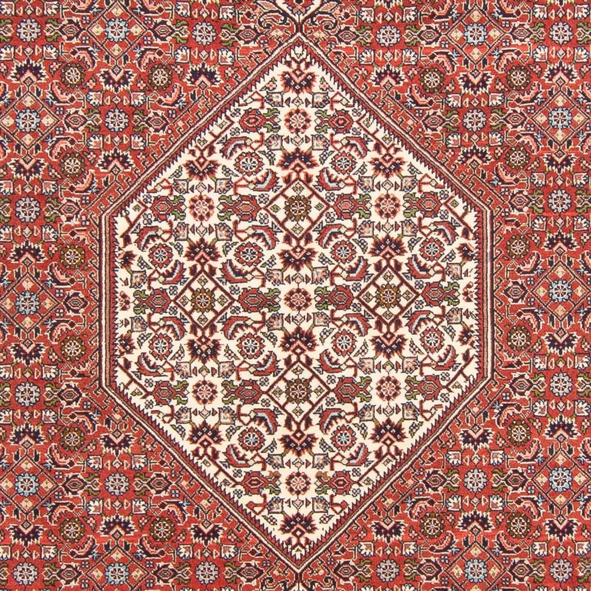 Perser Rug - Bidjar - 291 x 194 cm - red