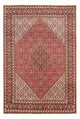 Bidjar - Bukan Rug 294x200cm - Persian Rugs