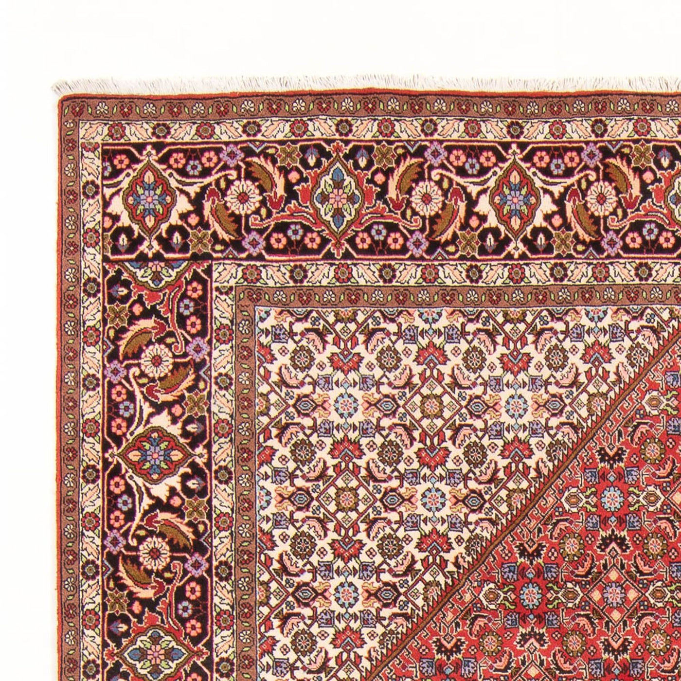 Bidjar - Bukan Rug 294x200cm - Persian Rugs