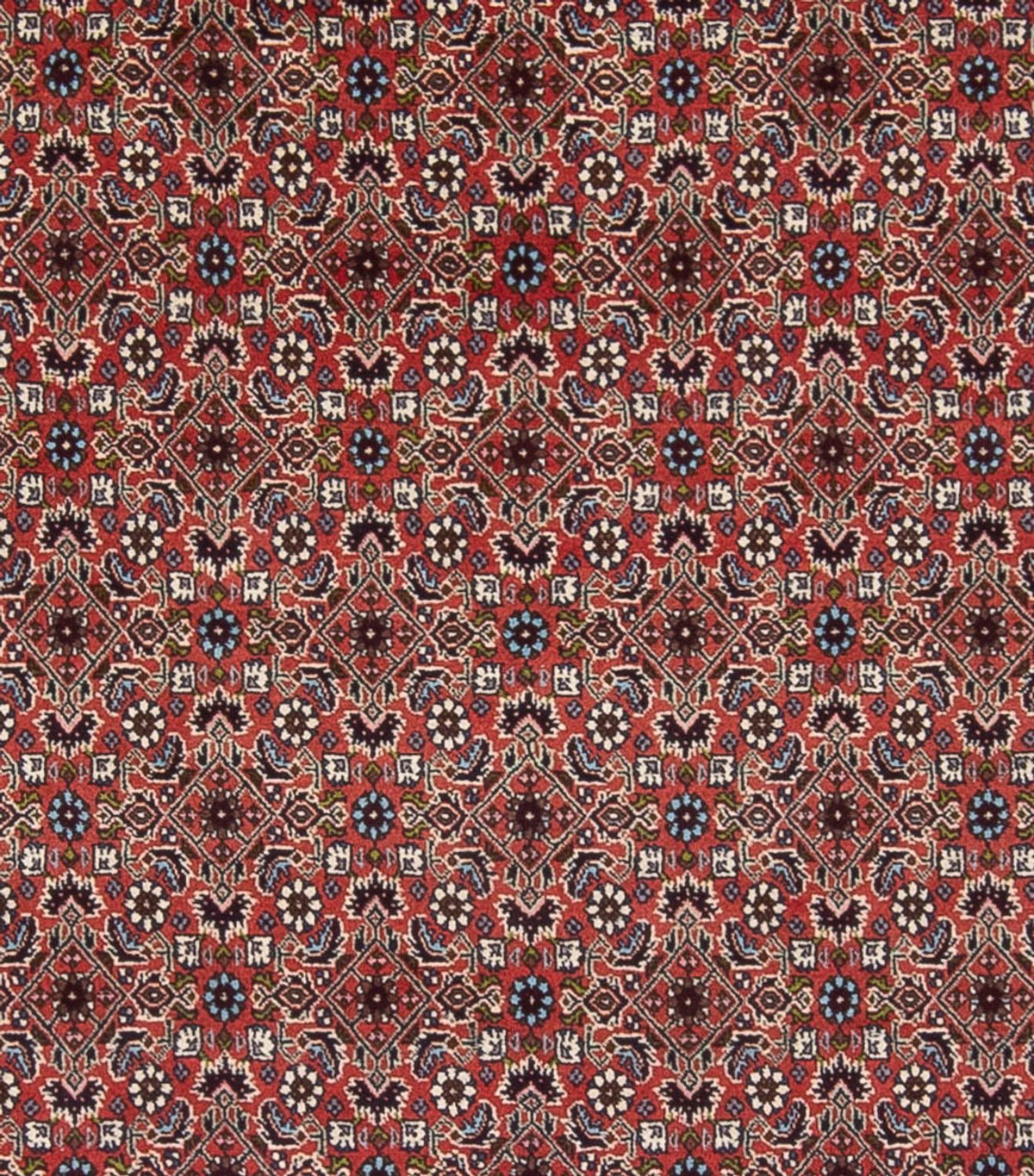 Perser Rug - Bidjar - 296 x 248 cm - dark red