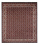 Bidjar - Bukan Rug 300x248cm - Persian Rugs