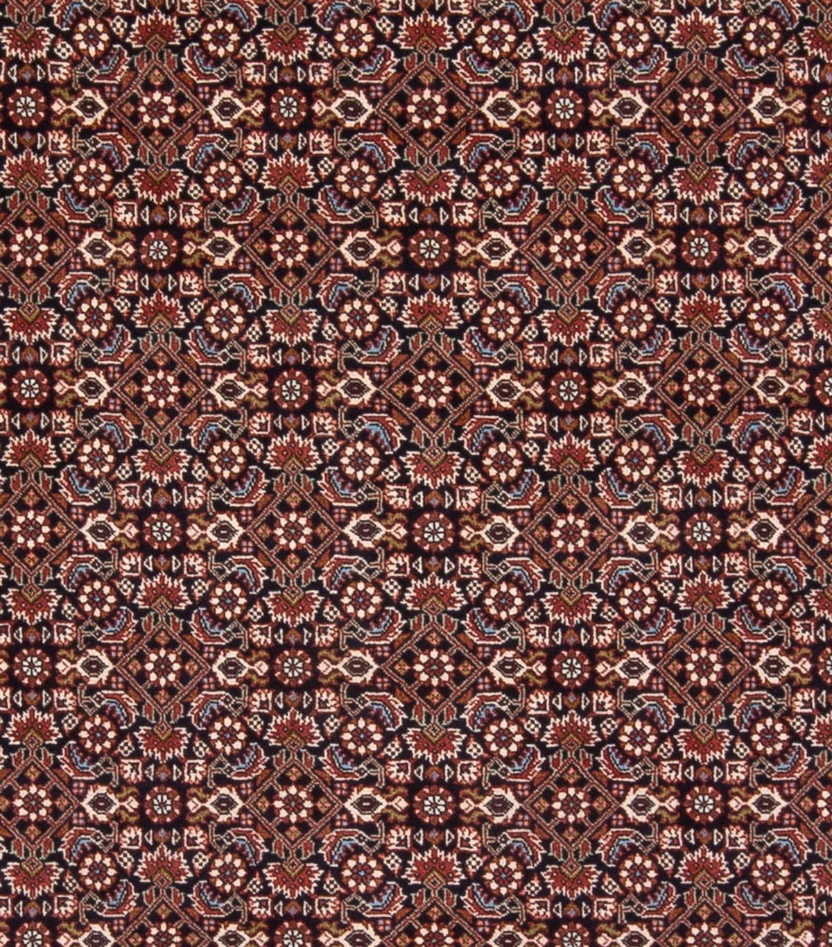 Perser Rug - Bidjar - 300 x 248 cm - dark blue