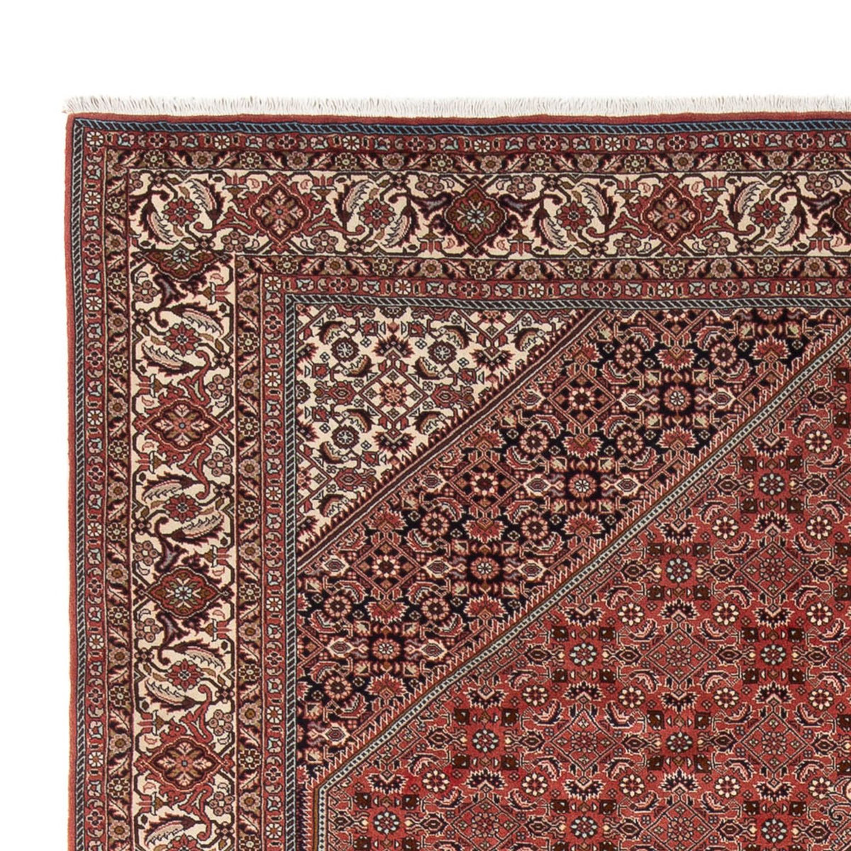 Bidjar - Bukan Rug 333x247cm - Persian Rugs