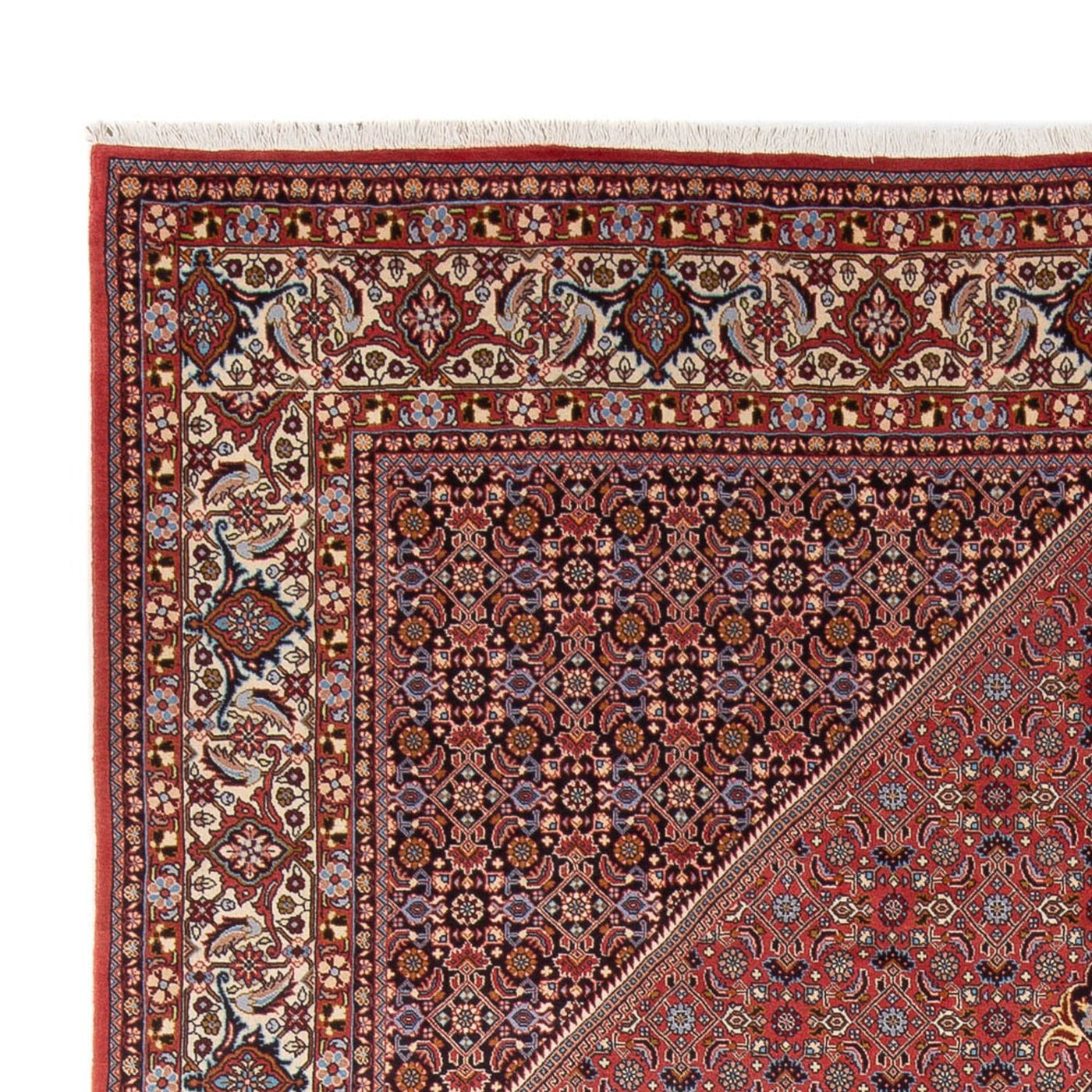 Bidjar - Bukan Rug 337x250cm - Persian Rugs