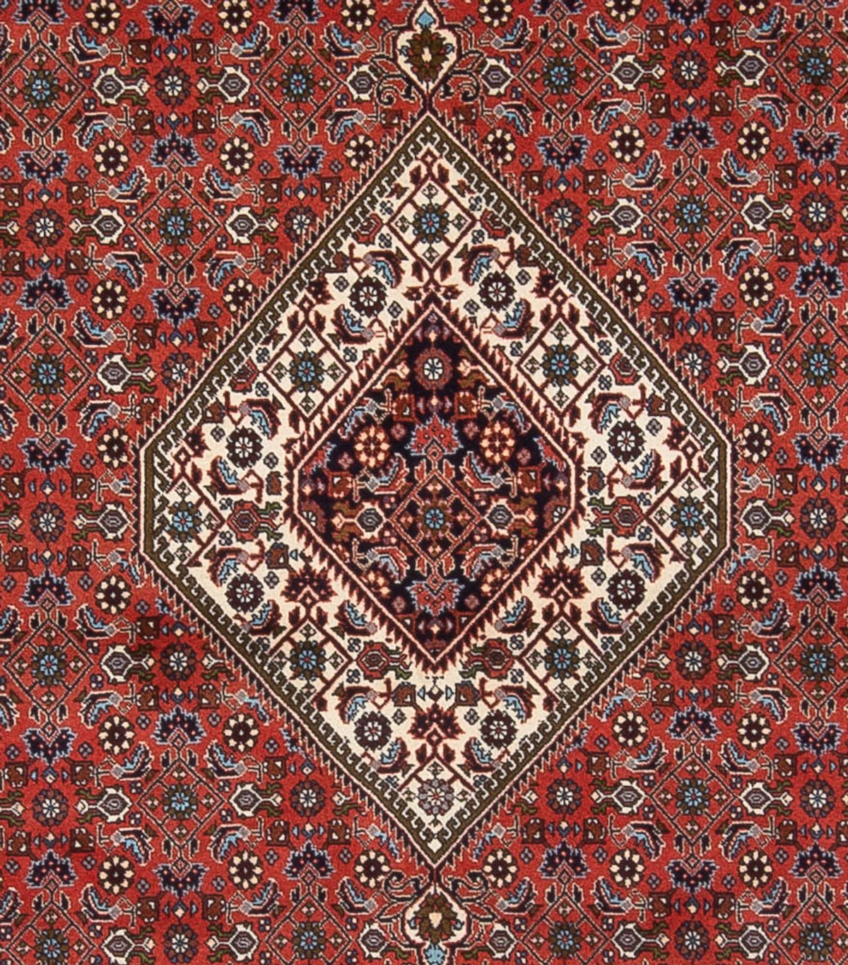 Perser Rug - Bidjar - 290 x 243 cm - rust