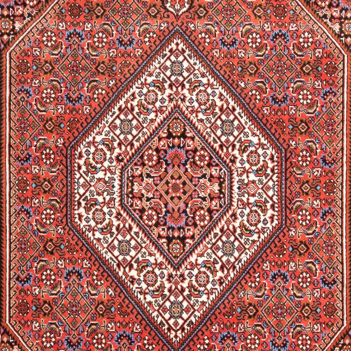Perser Rug - Bidjar - 186 x 112 cm - red