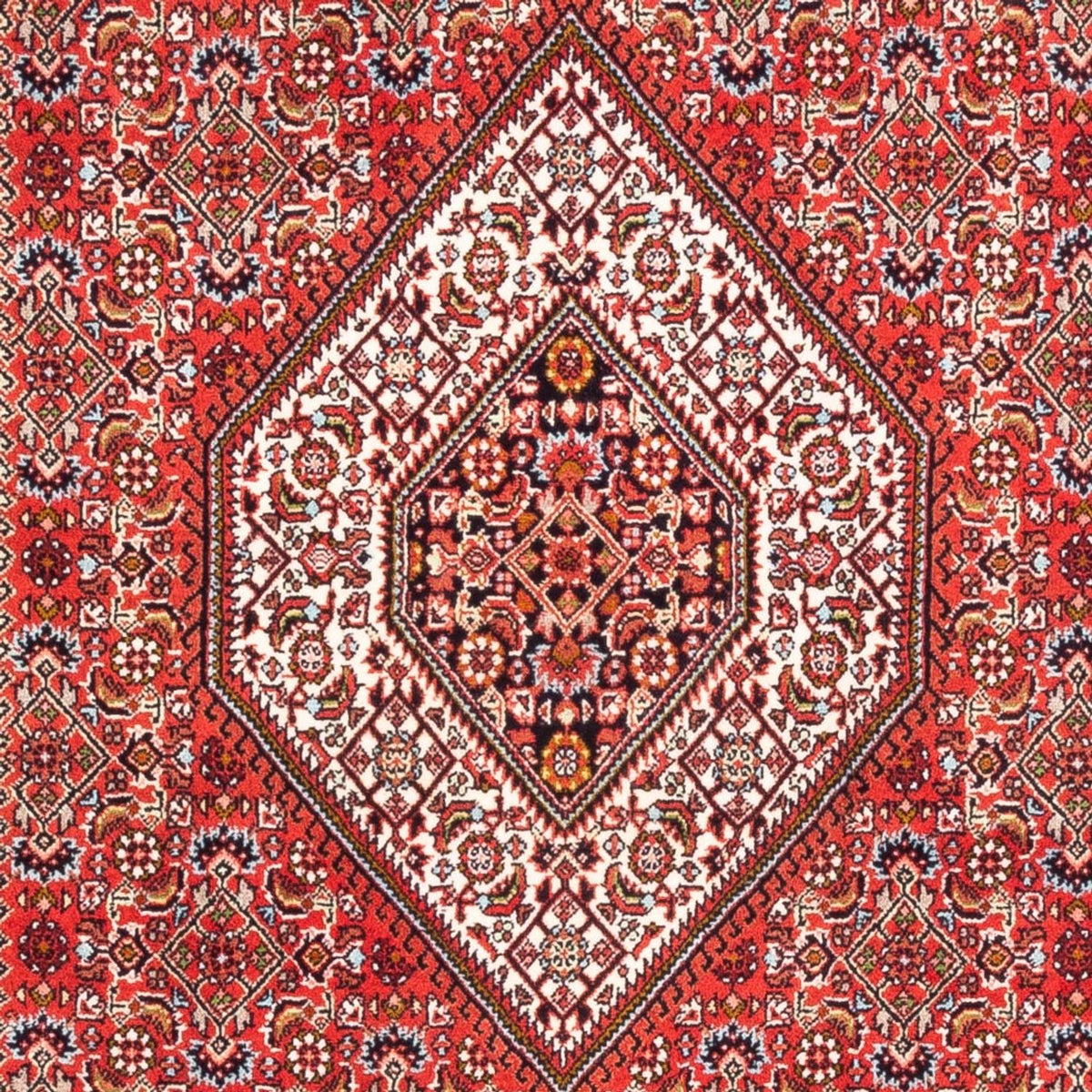 Perser Rug - Bidjar - 180 x 110 cm - red