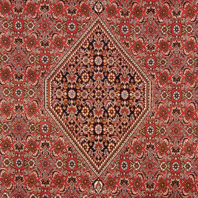 Perser Rug - Bidjar - 290 x 200 cm - red