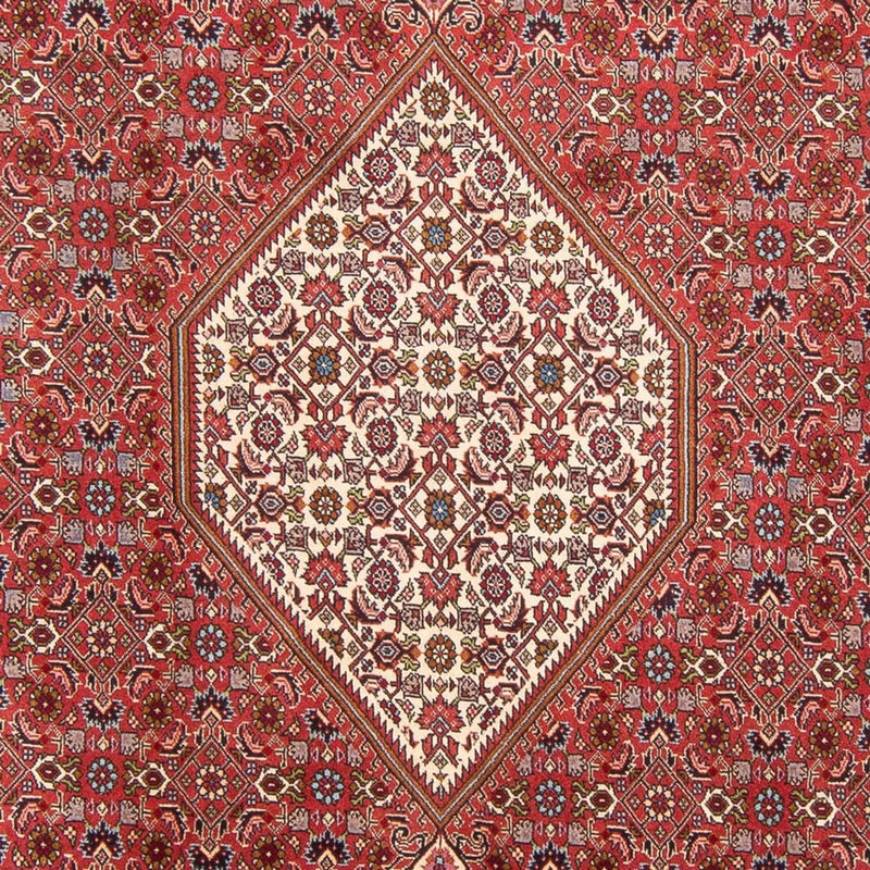 Perser Rug - Bidjar - 310 x 203 cm - red