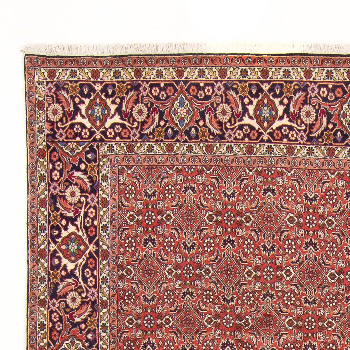Perser Rug - Bidjar - 305 x 200 cm - red
