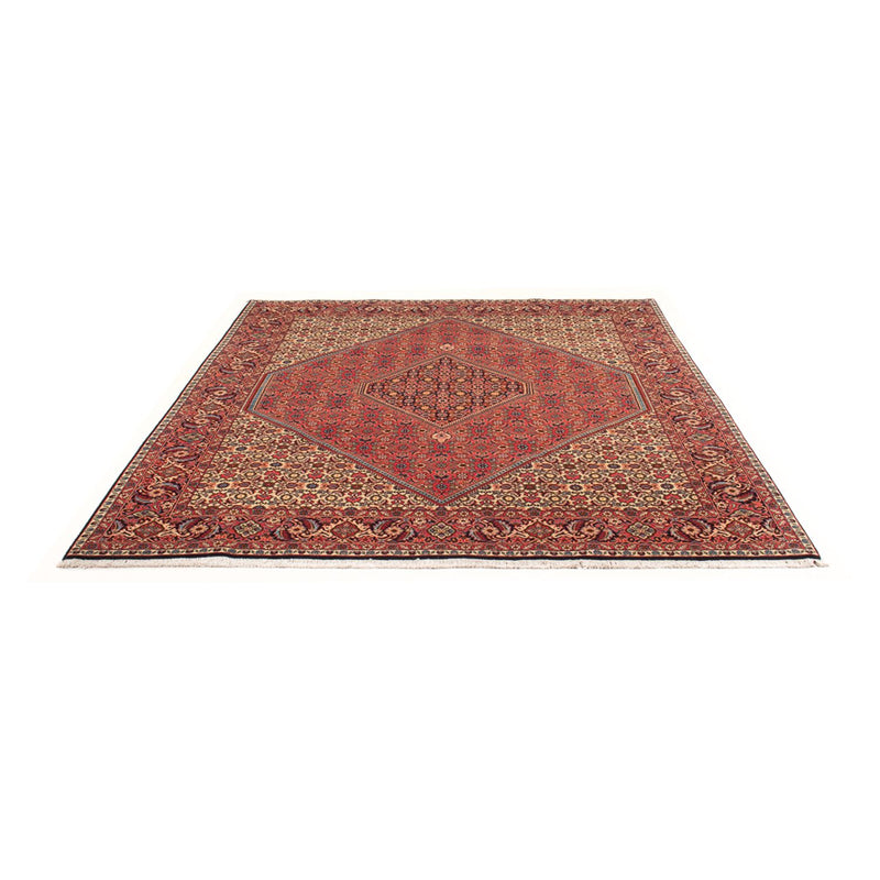 Bidjar - Bukan Rug 260x200cm - Persian Rugs