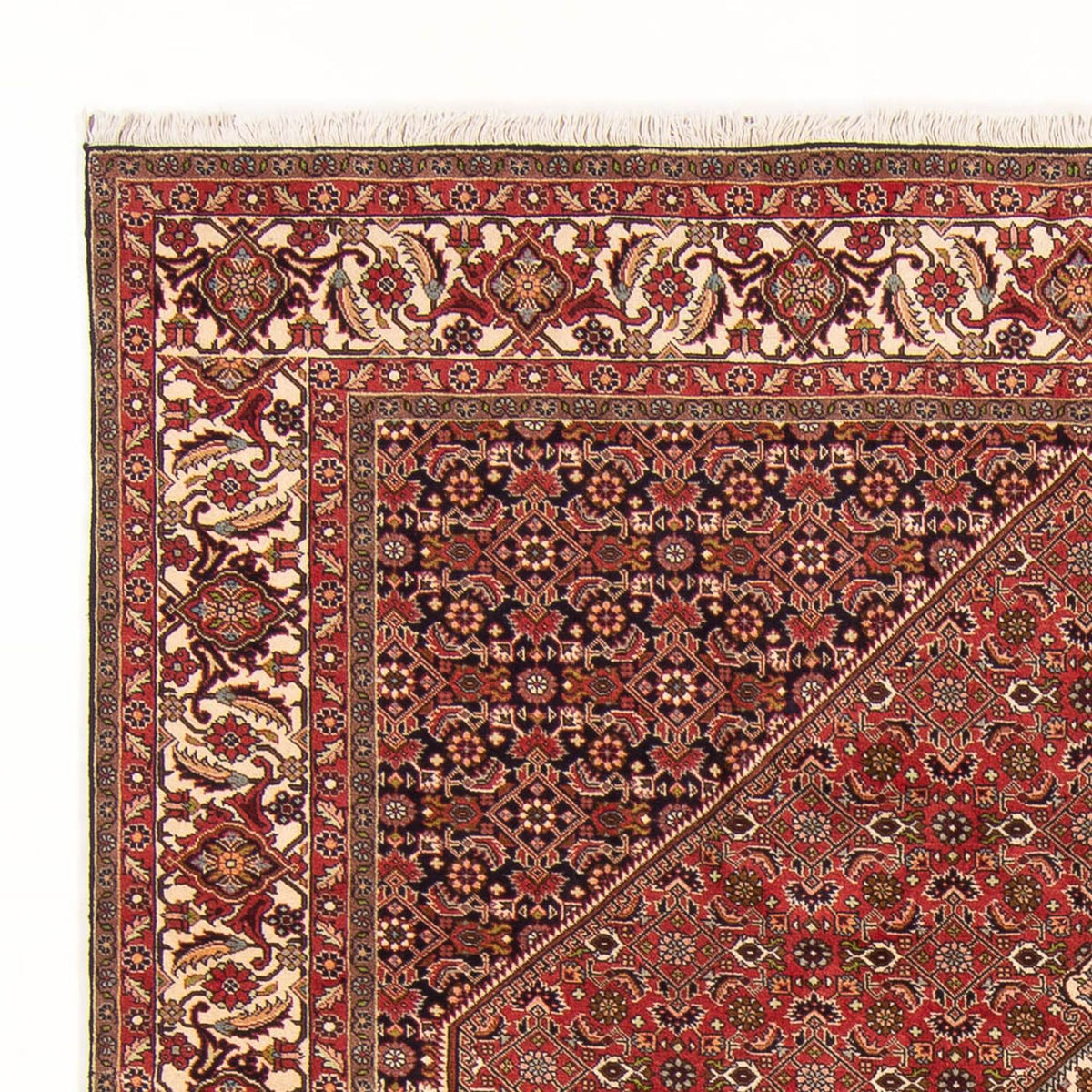 Perser Rug - Bidjar - 260 x 200 cm - red