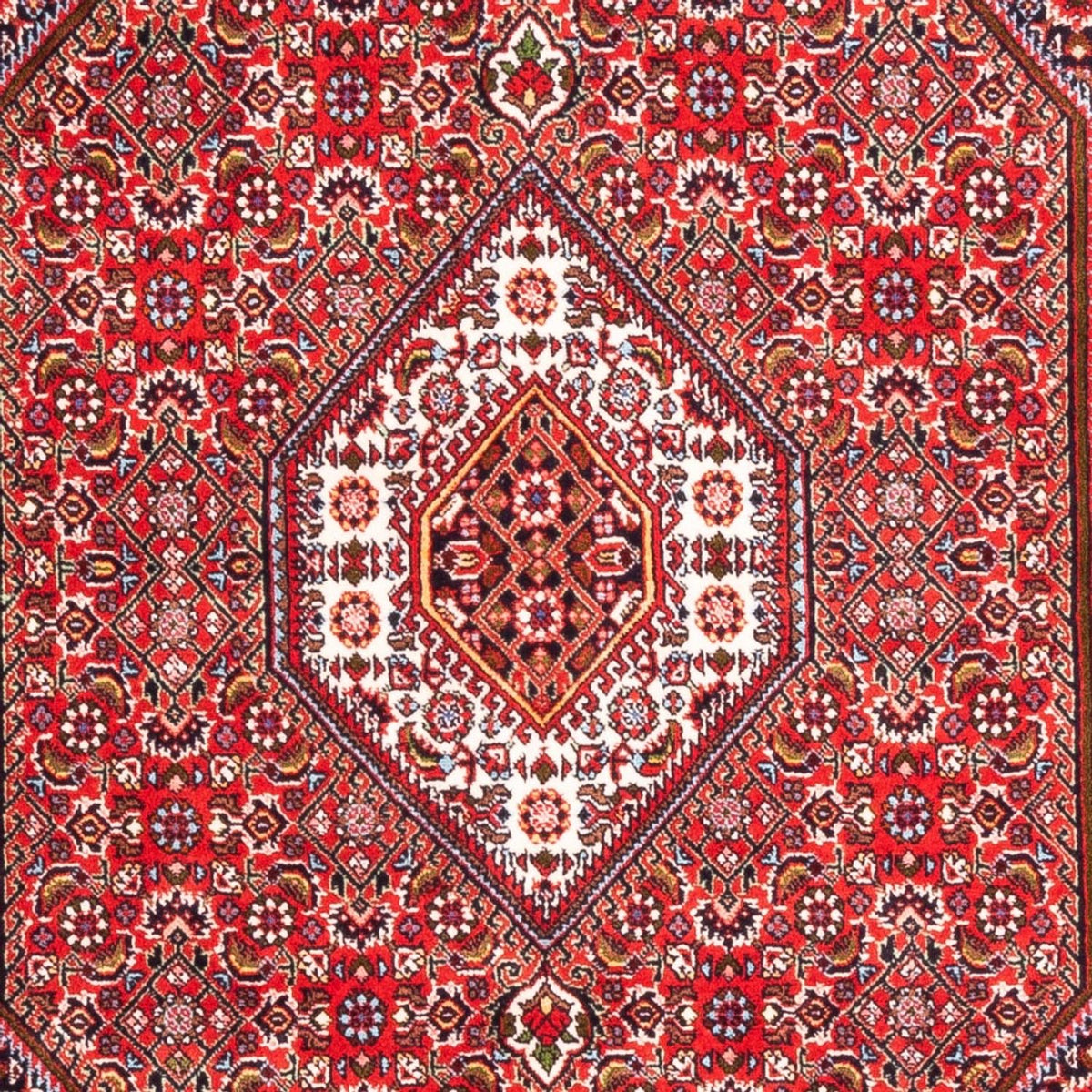 Perser Rug - Bidjar - 170 x 110 cm - red