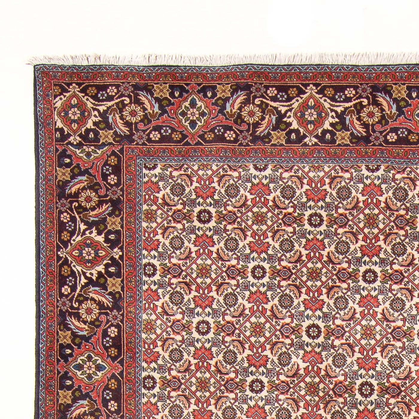 Bidjar - Bukan Rug 294x200cm - Persian Rugs