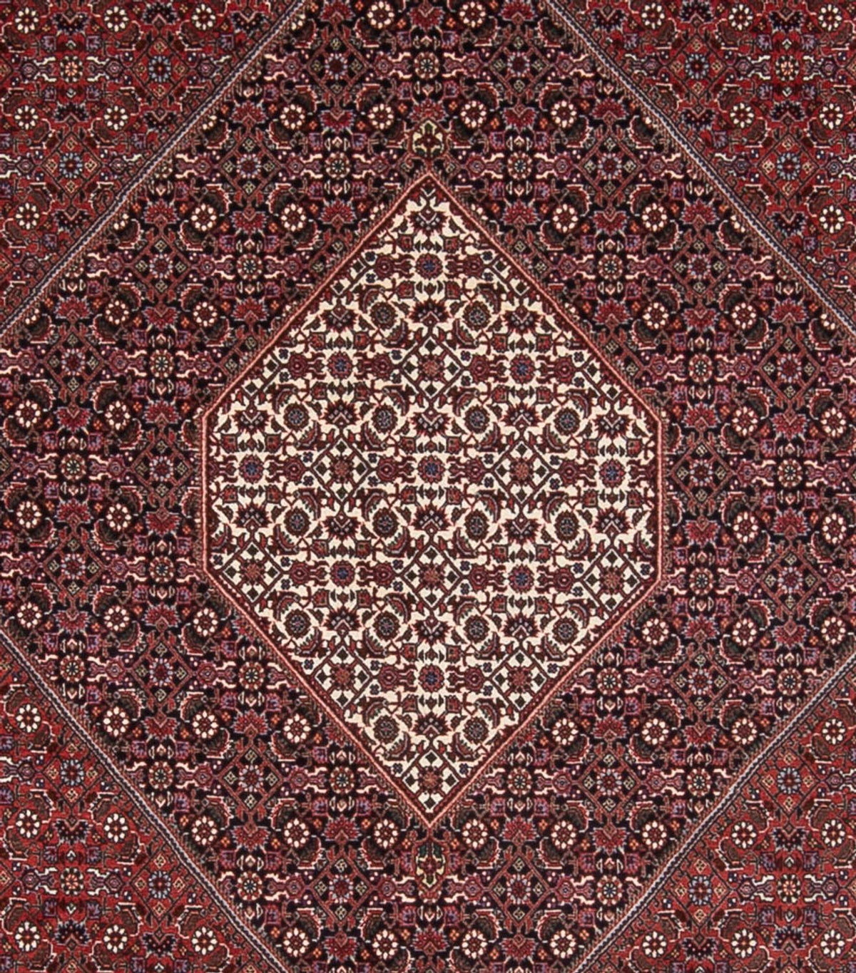 Perser Rug - Bidjar - 370 x 253 cm - rust