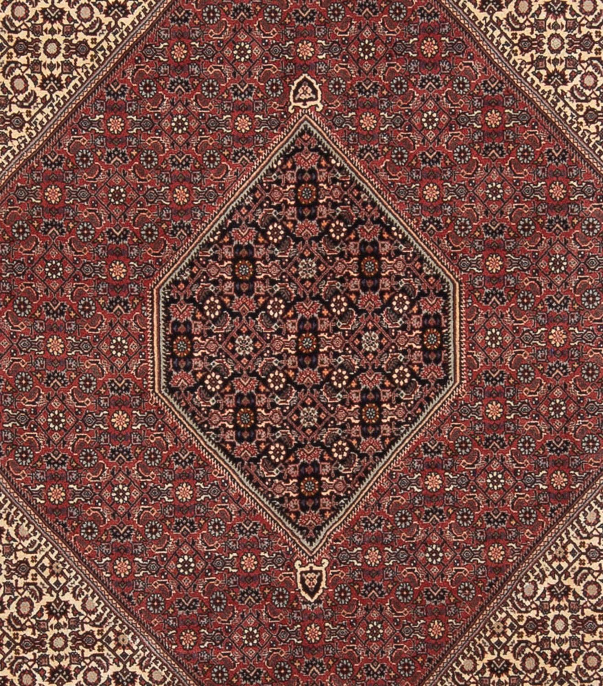 Perser Rug - Bidjar - 345 x 250 cm - dark red