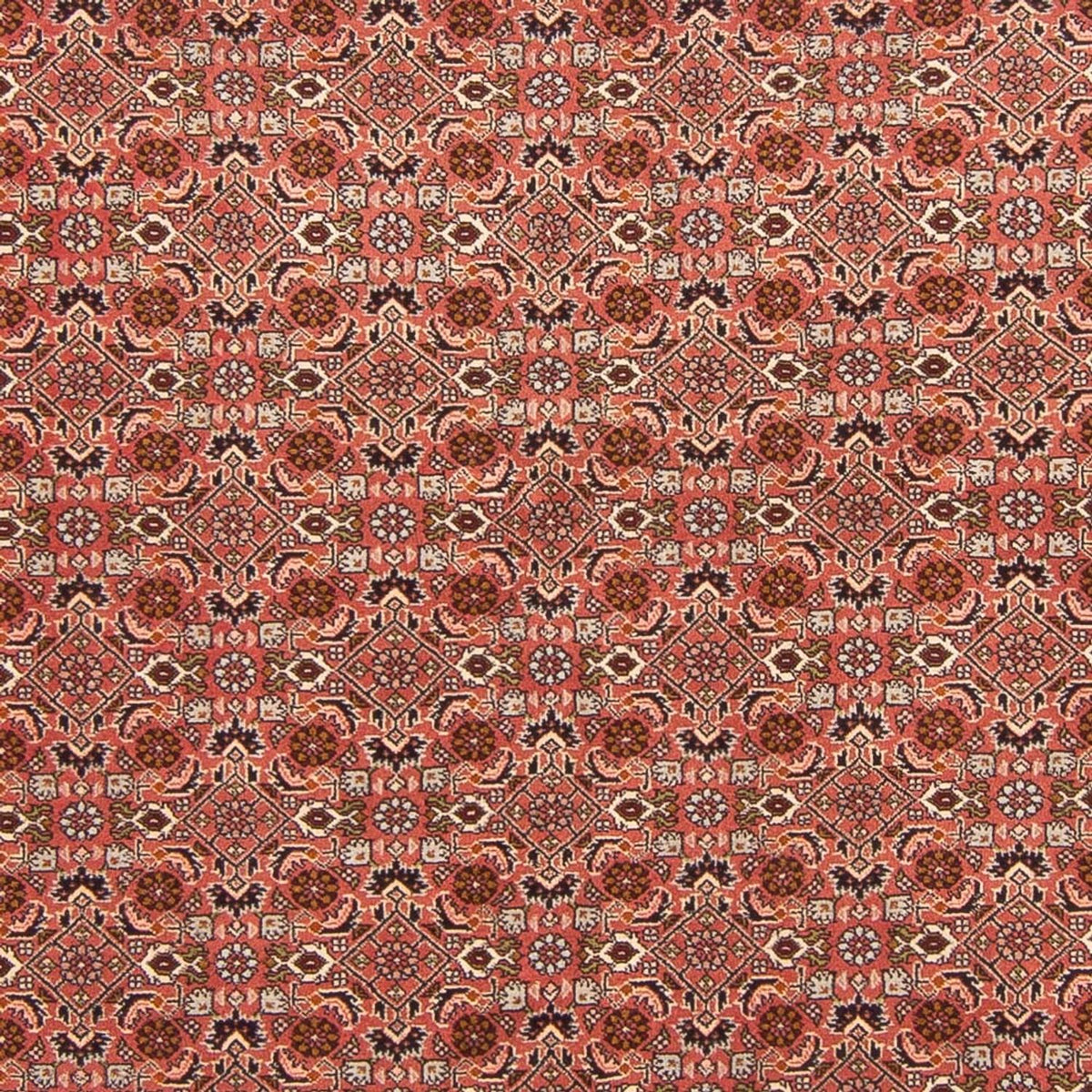 Perser Rug - Bidjar - 288 x 202 cm - red