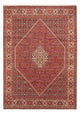 Bidjar - Bukan Rug 293x206cm - Persian Rugs
