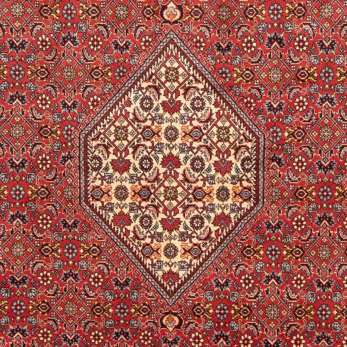 Perser Rug - Bidjar - 293 x 206 cm - red