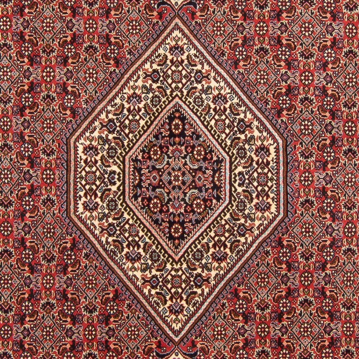 Perser Rug - Bidjar - 294 x 200 cm - red