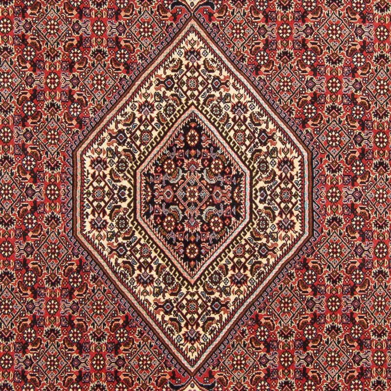 Bidjar - Bukan Rug 200x294cm - Persian Rugs