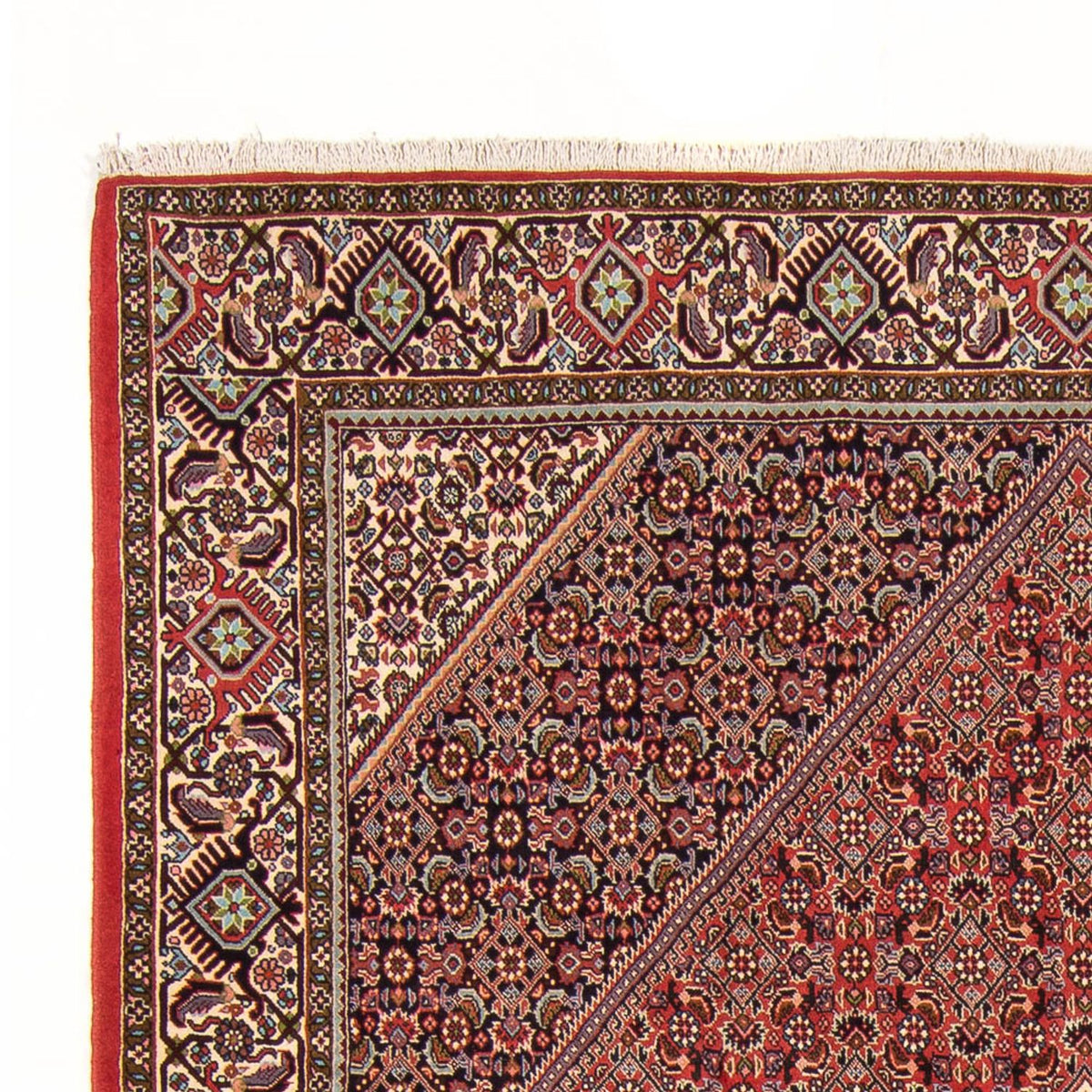 Bidjar - Bukan Rug 200x294cm - Persian Rugs