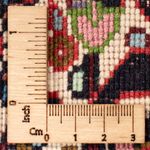 Bidjar - Bukan Rug 200x294cm - Persian Rugs