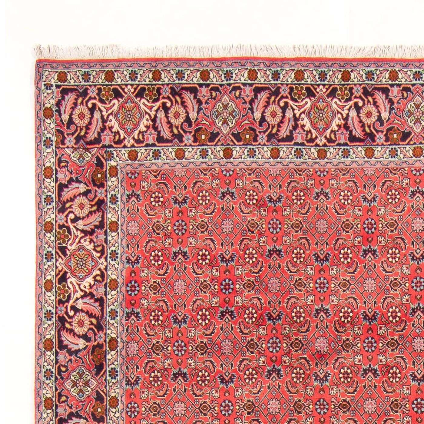 Bidjar - Bukan Rug 294x200cm - Persian Rugs