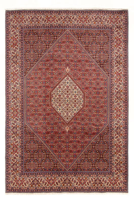 Perser Rug - Bidjar - 303 x 200 cm - red
