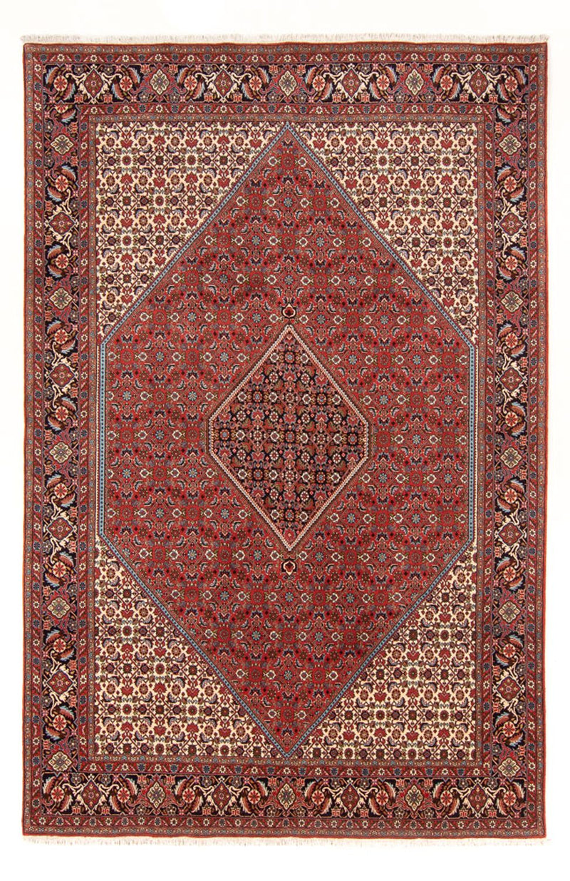 Perser Rug - Bidjar - 310 x 200 cm - red